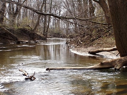 heron rookery