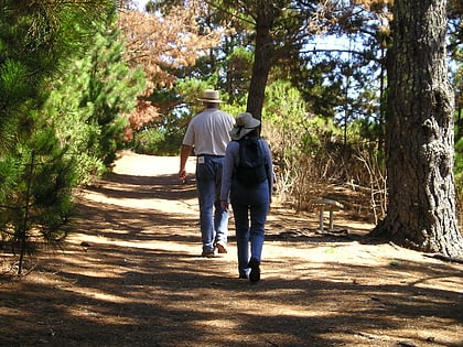 jacks peak park monterey