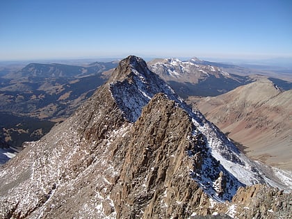 el diente peak area salvaje lizard head