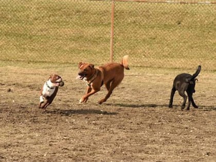 Red Oaks Dog Park