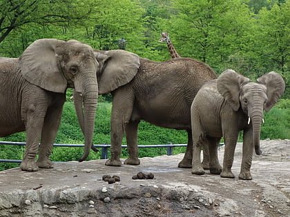 Zoo de Pittsburgh