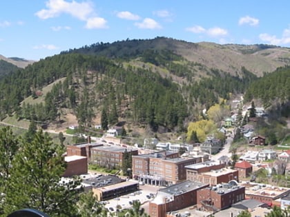 deadwood