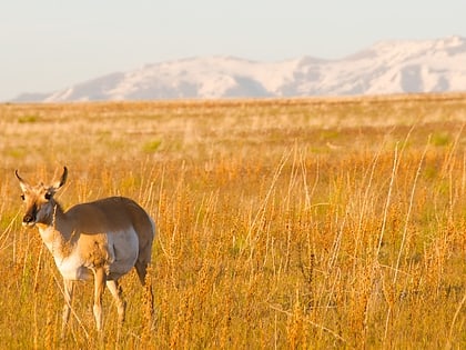 park stanowy antelope island
