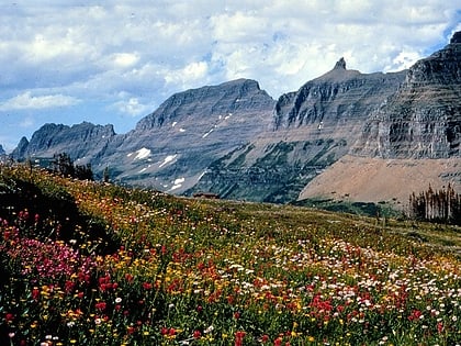 mount gould glacier nationalpark