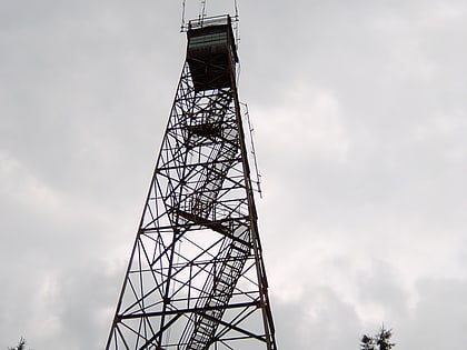 olson observation tower foret nationale de monongahela