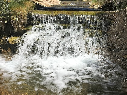 Rogers Warm Spring