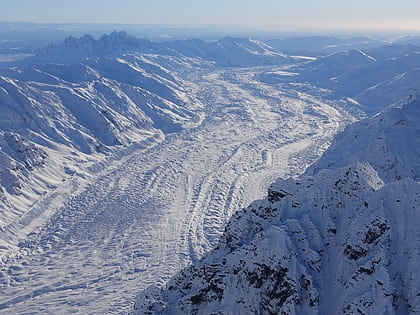 tokositna glacier park narodowy denali