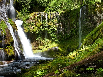 panther creek falls gifford pinchot national forest