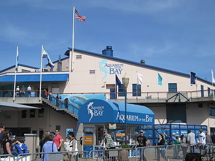 Aquarium of the Bay