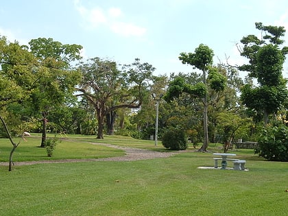 John C. Gifford Arboretum