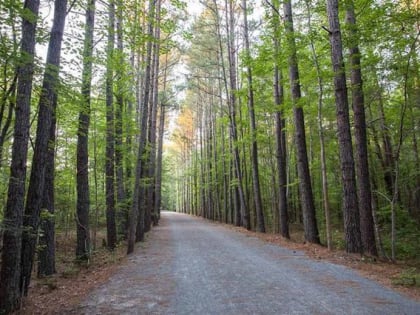 american tobacco trail apex