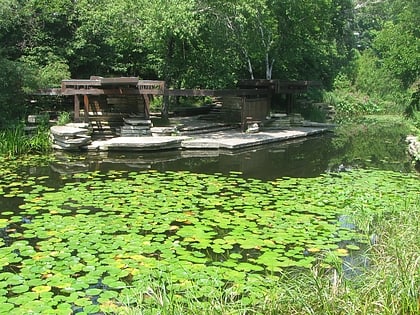 alfred caldwell lily pool chicago