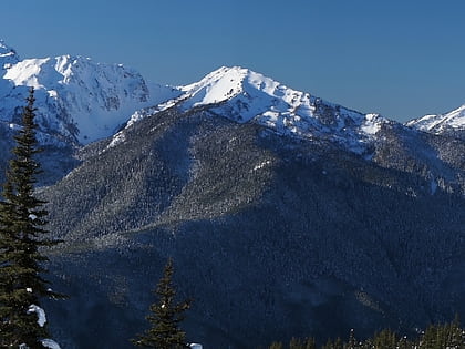 mount fitzhenry olympic national park