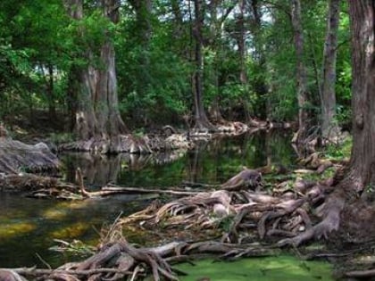 cibolo nature center boerne