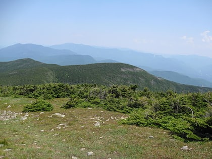 mount blue foret nationale de white mountain