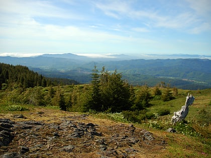 mount hebo siuslaw national forest