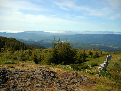 mount hebo foret nationale de siuslaw