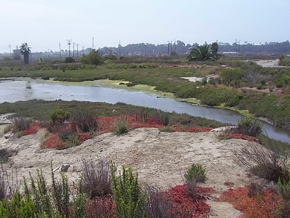los cerritos wetlands long beach