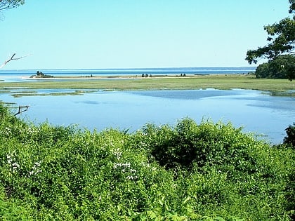 park stanowy ellisville harbor