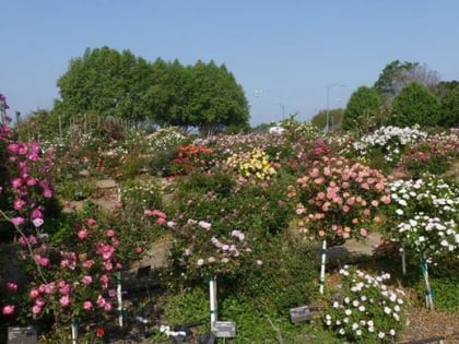 heritage rose garden san jose