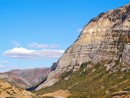 provo canyon wasatch cache national forest