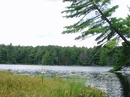 fisher lake sylvania wilderness