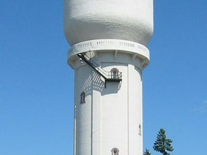 brainerd water tower