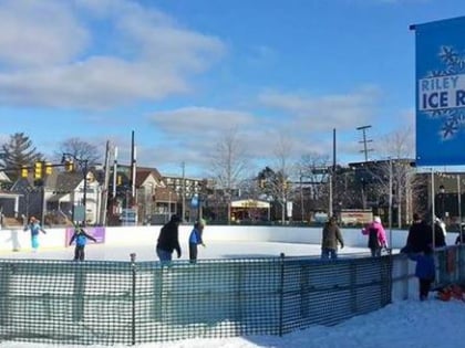 riley park ice rink farmington