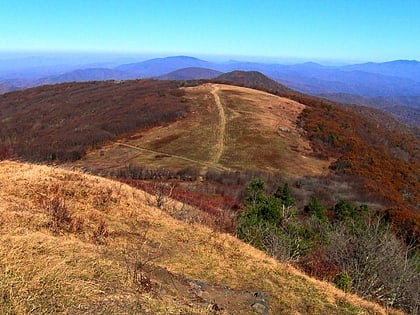 bald mountains foret nationale de pisgah