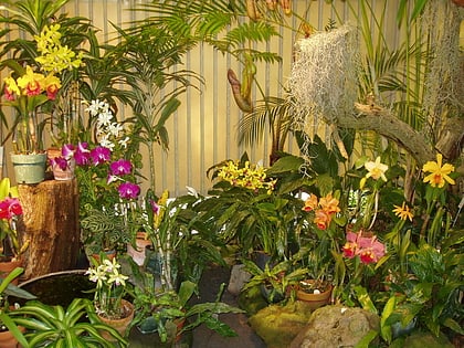 foster botanical garden honolulu