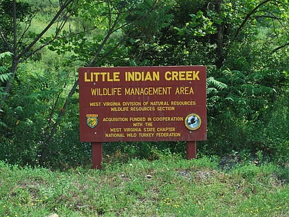 Little Indian Creek Wildlife Management Area
