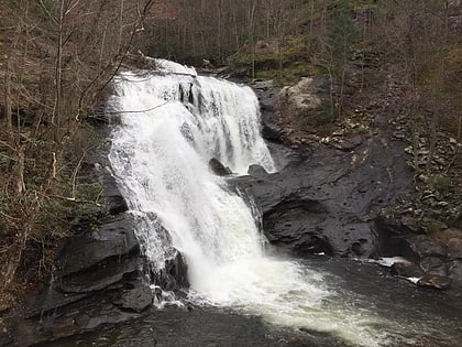 bald river gorge wilderness joyce kilmer memorial forest