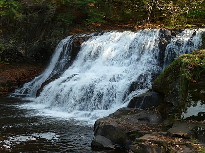 park stanowy wadsworth falls park stanowy millers pond