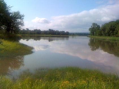 sauvie island wildlife area