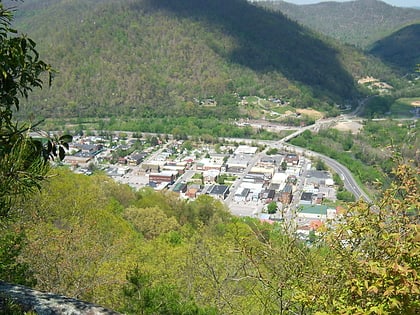 pineville