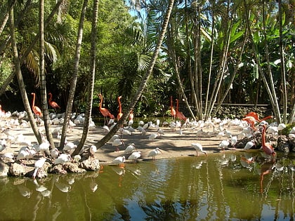 flamingo gardens davie