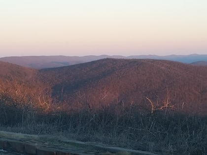 wilton mountain ouachita national forest