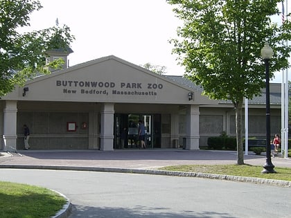 buttonwood park zoo new bedford