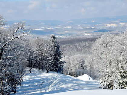 laurel mountain ski resort dans mountain state park