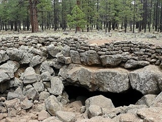 lava river cave foret nationale de coconino