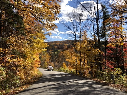 sandgate green mountain national forest