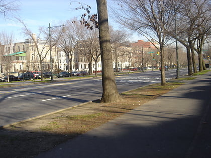 Avenida Eastern Parkway