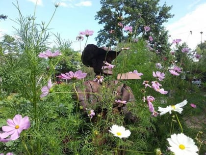 Horticultural Art Society of Colorado Springs