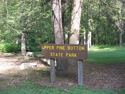 Parc d'État de Upper Pine Bottom