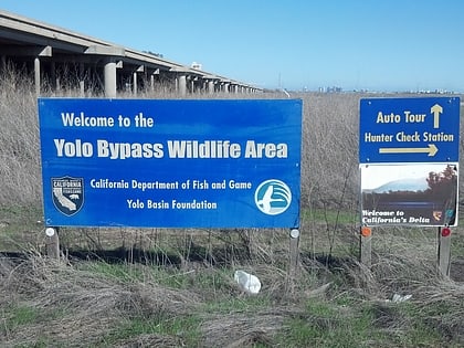 yolo bypass wildlife area