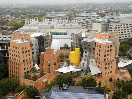 ray and maria stata center boston