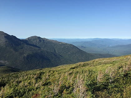 white mountain national forest