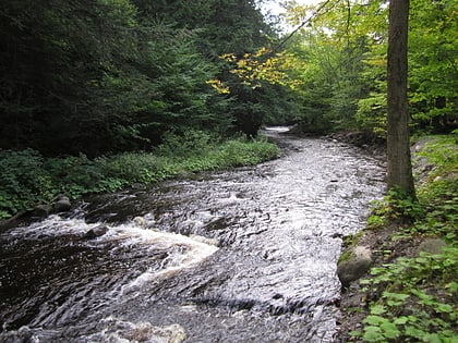 Whetstone Gulf State Park