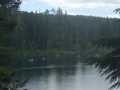 clear lake andrews forest