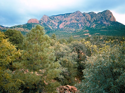 apache kid wilderness